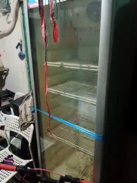 Showcase Polytron