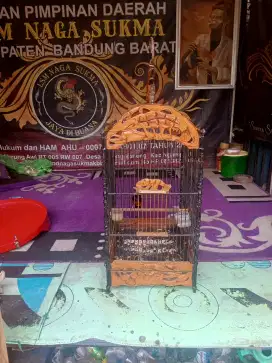 Kurung / Sangkar Jati