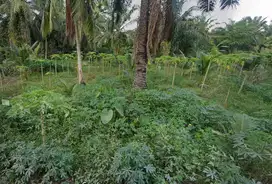 [DIJUAL] TANAH LUAS 4442 m² – Lokasi Strategis di Air Joman, Asahan