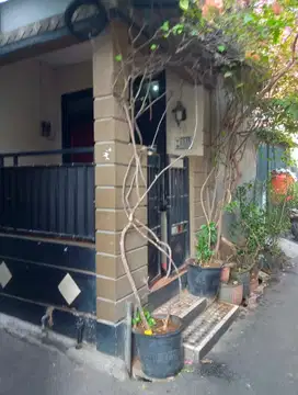 DIKONTRAKKAN RUMAH 2 lantai di Petamburan Slipi Jakarta Barat