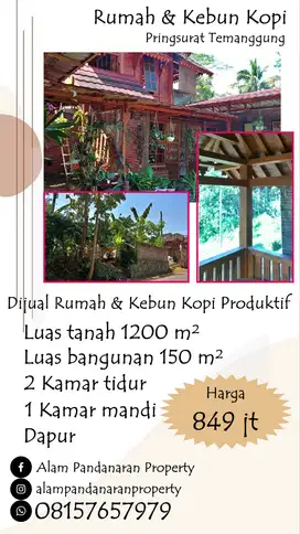Dijual Kebun Kopi Produktif 1200 m² Plus Rumah Temanggung