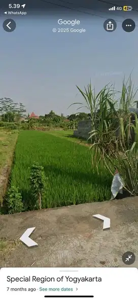 Jual Tanah Sawah Area Kalasan Barat Candi Prambanan