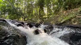 Tanah di kawasan villa dekat air terjun view sungai dan jungle