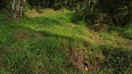 [DIJUAL] Tanah 1.746 m² – Pinggir Jalan, Cocok untuk Gudang atau Rumah