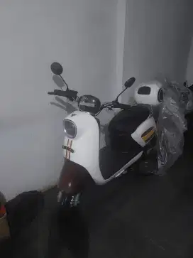 Motor listrik Tangkas E6 box baru