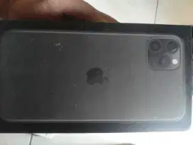 Iphone 11 promax 256 GB mignite green