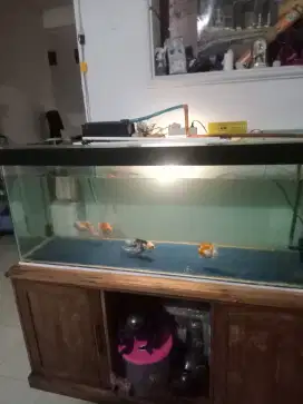 Aquarium Full Set