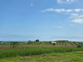 dijual tanah murah view laut di tabanan bali