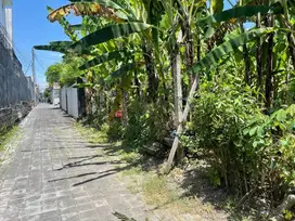 Tanah batubelig Kerobokan