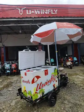 Gerobak es kopi keliling untuk usaha uwinfly gb