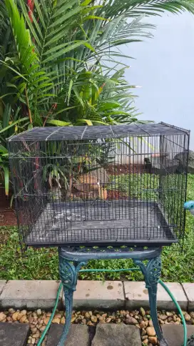 Kandang Burung/Ayam