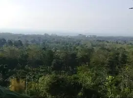 Tanah Komersial Mewah 5000m2 di Bingin Uluwatu Bali, View Laut