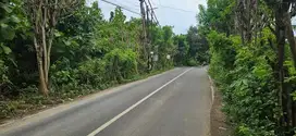 Tanah sewa dijalan Pantai Balangan