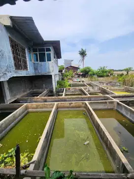 DIJUAL CEPAT RUMAH DI PREPADAN RAYA