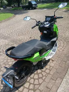 Alva cervo 2023