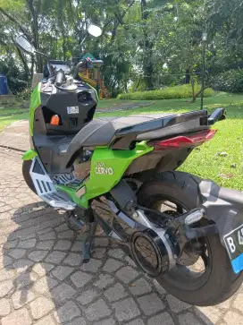 Alva cervo 2023