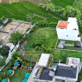 Jual tanah 160 m2 di tumbak bayuh pererenan