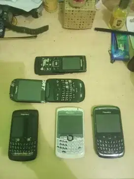 BB Gamblling ambil semua