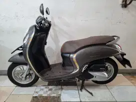 Scoopy stylish 2020 lengkap pajak hidup