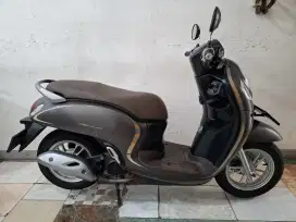 Surat lengkap pajak hidup scoopy stylish 2020