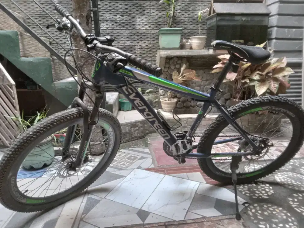 Sepeda Gunung MTB EVERGREEN 570