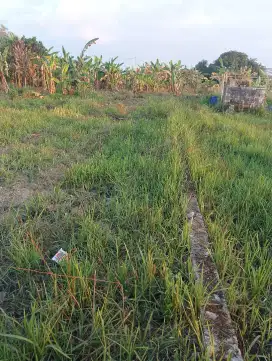 JUAL TANAH KAVLING