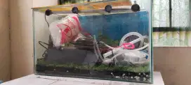 aquarium ukuran 60x30