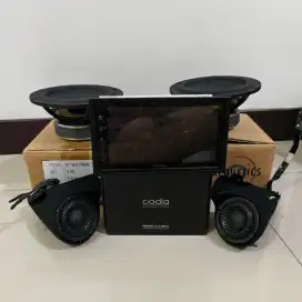 SB Acoustic Car Audio