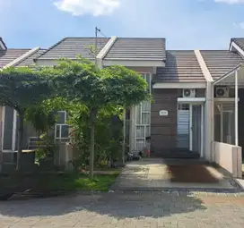 Dijual Rumah Murah di Puri Safira Regency Cluster Shanaya - Gresik
