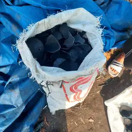 Dicari: Produsen Arang Batok Kelapa dalam Jumlah Besar