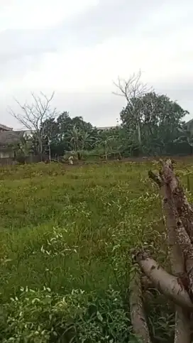 DIJUAL TANAH SELUAS 1236 M² di SERANG BANTEN