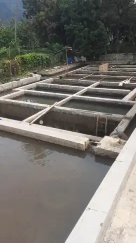 Kolam deras 9 jalur + rumah Cijambe Subang