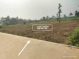 TANAH KEBUN MURAH DAN STRATEGIS DI DESA CIBEUTEUNG KECAMATAN CISEENG