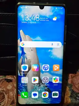 Huawei P30 Pro second mulus