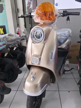 Sepeda listrik t65L