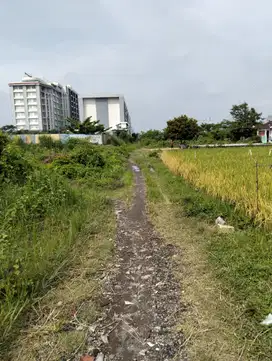 JUAL TANAH DEKAT KAMPUS UAD RINGROAD SELATAN