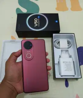 Vivo v50 12/256