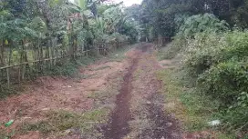 Kebun rambutan 2900 m2 100rb/m2 Kalijati Subang