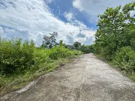 Tanah di Bantul Siap AJB Dekat Kampus ISI Jogja