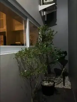 Dijual Rumah Cantik Siap Huni di Cluster Jatibening – 950 Juta!