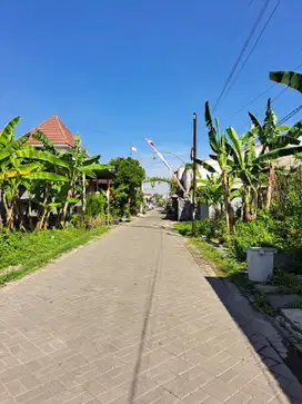 Tanah Medayu, Surabaya Timur Dekat Merr, Raya Pandugo