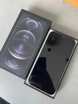 Iphone 12 promax 256 ibox