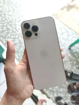 Iphone 13 Pro Max 256gb IMEI terdaftar Beacukai