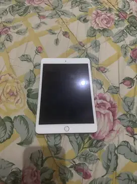 Ipad mini 3 64gb cellular