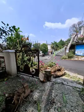 jasa tebang pohon semarang