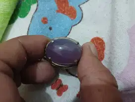 Kecubung tanjung ungu