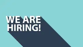 Dibutuhkan freelance utk buat website & admin toko online - segera