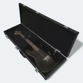 Hardcase gitar string
