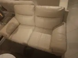 Sofa informa new