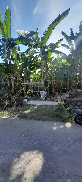 Dijual Tanah Siap Bangun Jl Medayu Utara Surabaya